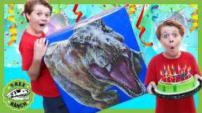 Dinosaur Birthday Surprise! T-Rex Mystery Box with Toy Dinosaurs & Outdoor Party Games for Kids